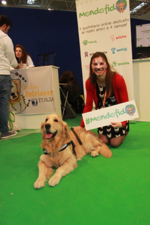 IMG 7243 e1489996882262