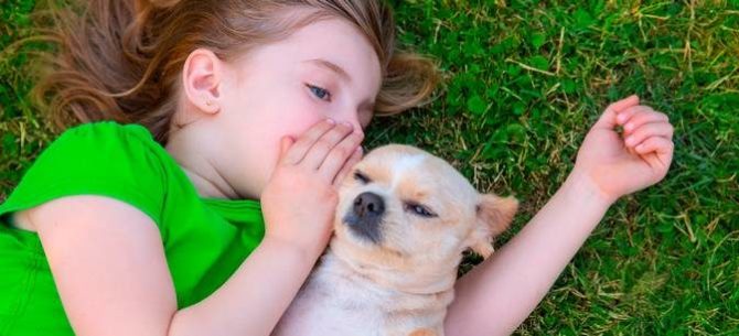 Parlare al proprio cane e1488736423614