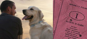 cane patentino e1490209911677