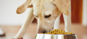 gerarchizzazione mondofido3 e1490135605503