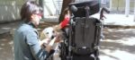 pet therapy disabile1 e1490609458250