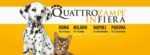 qzf