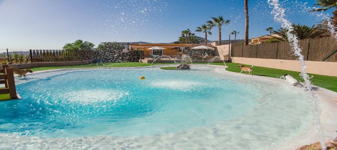 Voglia di vacanze con Fido? Tutti al Mascots Resort di Tenerife!