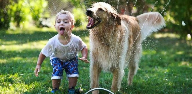 Il divertimento, la chiave di volta nella relazione con il cane