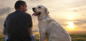 cane e proprietario tramonto bis e1493111830634