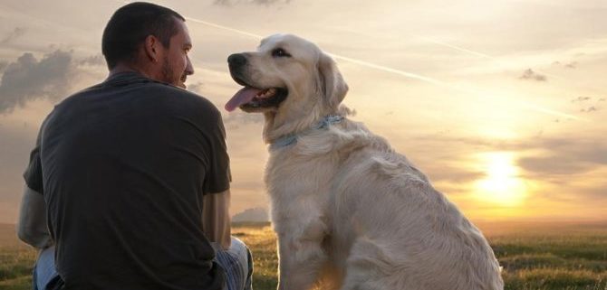 cane e proprietario tramonto bis e1493111830634