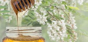 miele e1491824685385