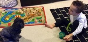 nico barillaris 1 e1493555953598