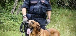 Cani molecolari carabinieri 1 e1494258820574