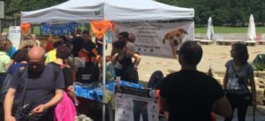 IMG 1344 e1494772783223