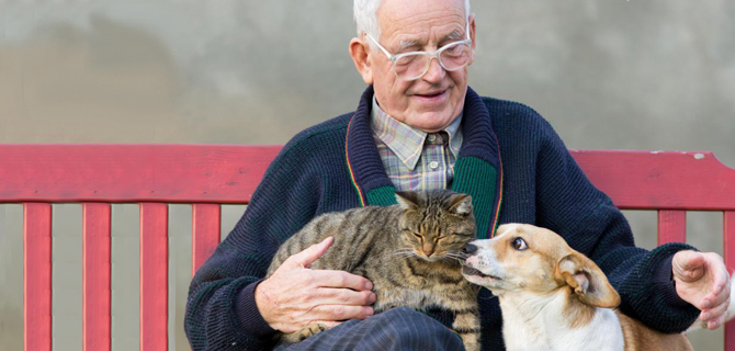 Cani anziani e anziani umani, reinventarsi  insieme negli “anni d’argento”.