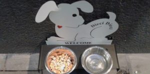 bar dog e1495455111308