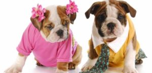 cani umanizzati e1495370465918