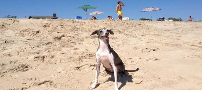 Lou, la sua seconda vita è cominciata al mare