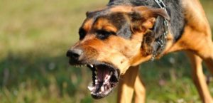 mondofido distimia e1496241012833