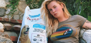 Ireland forza10 e1497700136159