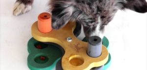 attivazione mentale e1498301342938