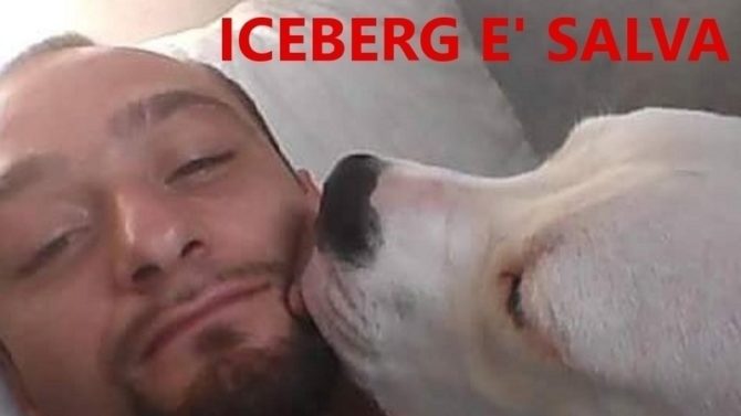 Iceberg torna a casa!