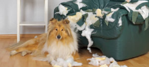 mondofido iperattacamento copertina e1496787039853