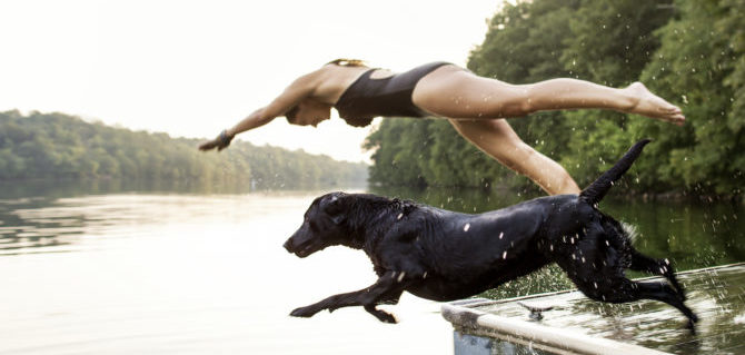 Cane pigro o iperattivo? lo stato di benessere del cane a portata di collare.