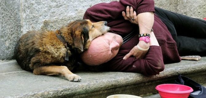 L’uso di cani per elemosinare, in Friuli Venezia Giulia, è reato.