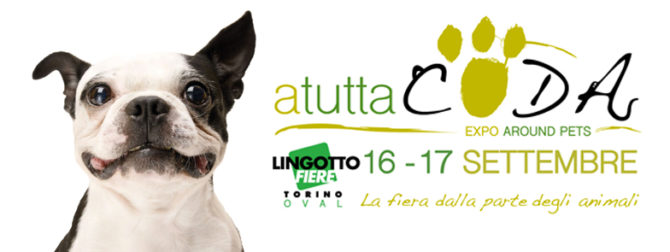 copertina evento fb e1499604668158