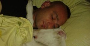 mondofido iceberg e1501440072455