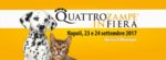 mondofido qzf Napoli