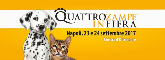 mondofido qzf Napoli