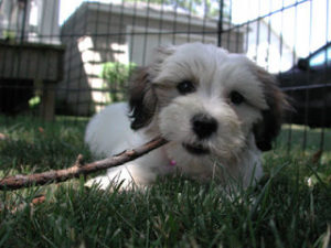 mondofido sindrome da privazione sensoriale 2