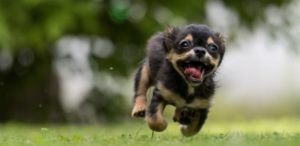 mondofido sindrome da privazione sensoriale e1499766634205