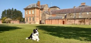 mondofido travel pet sitter cover e1500327031552