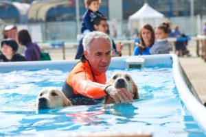 mondofido x ATC Torino interna