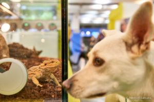 mondofido x ATC Torino interna3