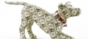 Mondo fido Costo Cane e1502539108860