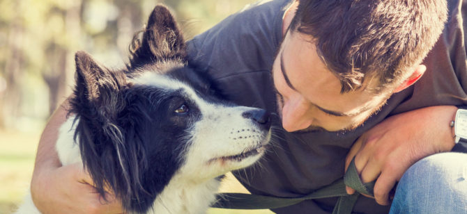 Proverbi da cani, alcuni modi di dire legati al cane