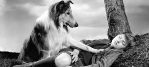 Mondofido Lassie e1502530325896