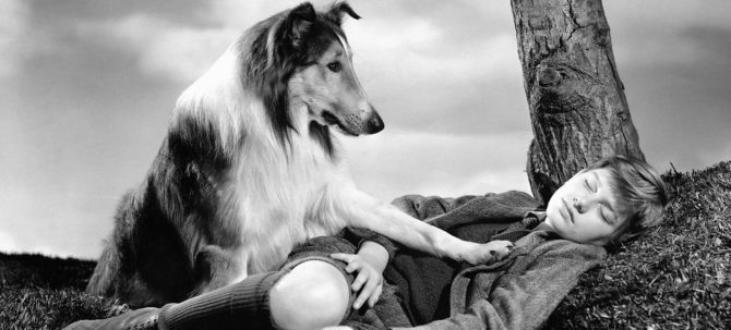 Mondofido Lassie e1502530325896