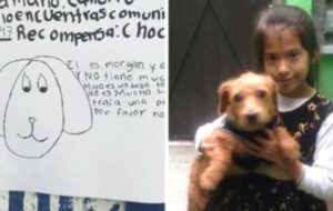 Mondofido Morgan e Sol