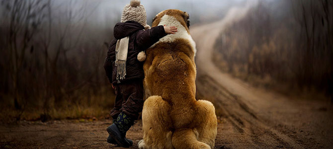 Cani e uomini, amici per geni