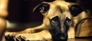 image1 e1502528317407