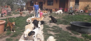 micaela e1502376659549