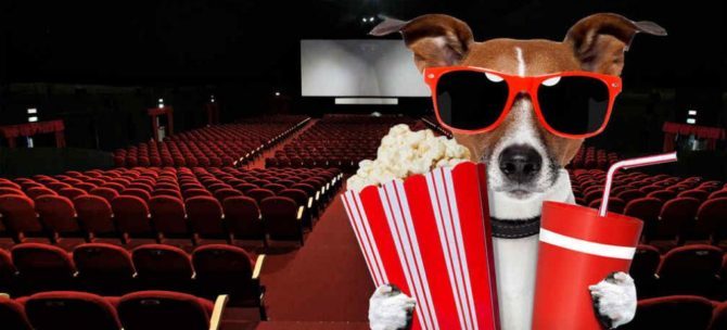 Tutti al cinema in compagnia del vostro cane