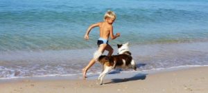 mondofido cane e bambino in spiaggia e1502369825666