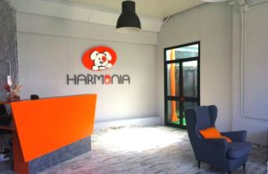 mondofido hotel per cani a milano