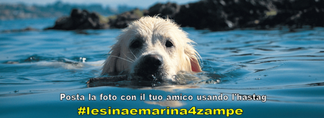 mondofido lesina marina