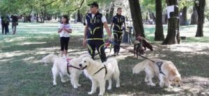 IMG 20170917 122152 e1505768230503