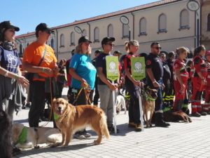 IMG 20170917 151105 1