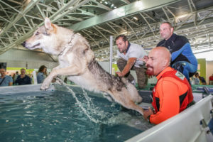 Mondofido Attivit%C3%A0 in piscina