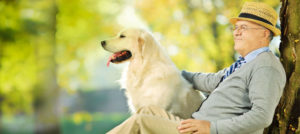 Mondofido Cane e Anziano in campagna e1505849932257